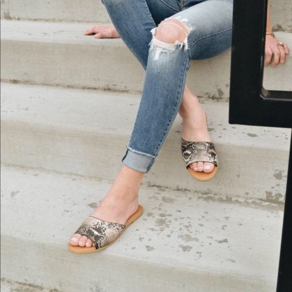 CLEARANCE 💕SNAKE PRINT SLIDES FLATS- Sandals - Picture 3 of 3
